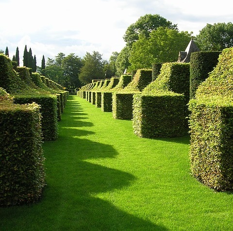 French Garden 18C pixabay 2017 cropped