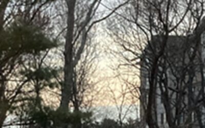 “blue suede view”…my poem