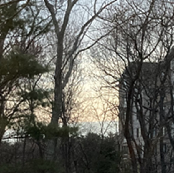 Dawn sunrise sky blue suede view 2026 mine