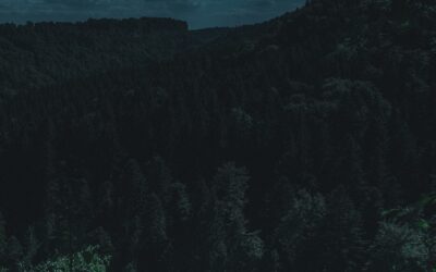 “…downbeat for the dawn…”…”Overture,” my poem