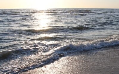 “The ocean makes its thrum…”…“Ashore,” my poem
