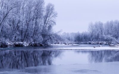 Spoon River Anthology…book review